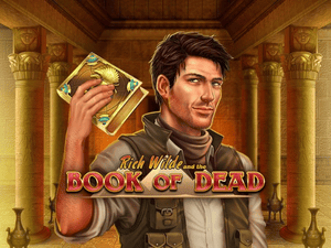 Banner of Book of Dead Game