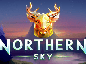 Logo of Northern Sky
