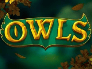 Logo of Owls