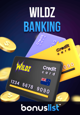 A few credit cards with some gold coins for Banking options in Wildz casino